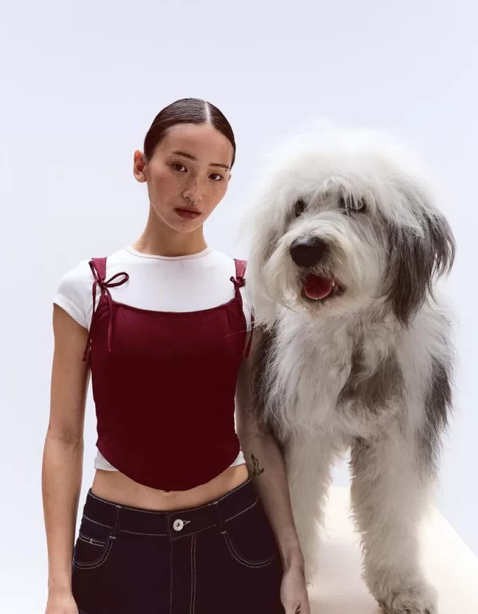 Corset top with bows Corset top with bows