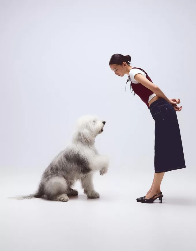 Corset top with bows Corset top with bows