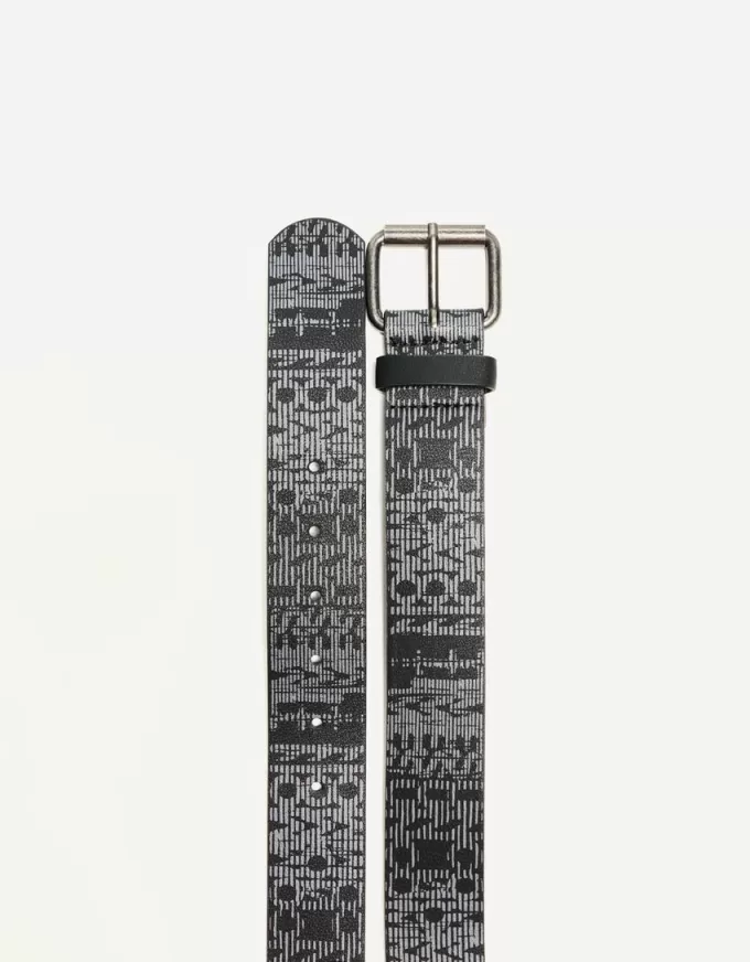 Printed belt Printed belt