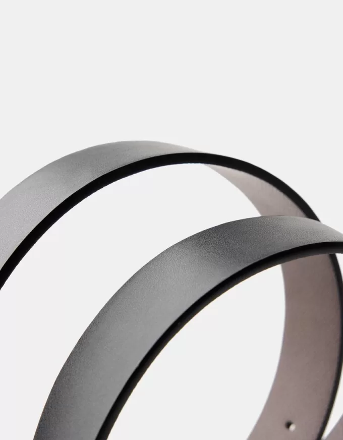 Reversible belt Reversible belt