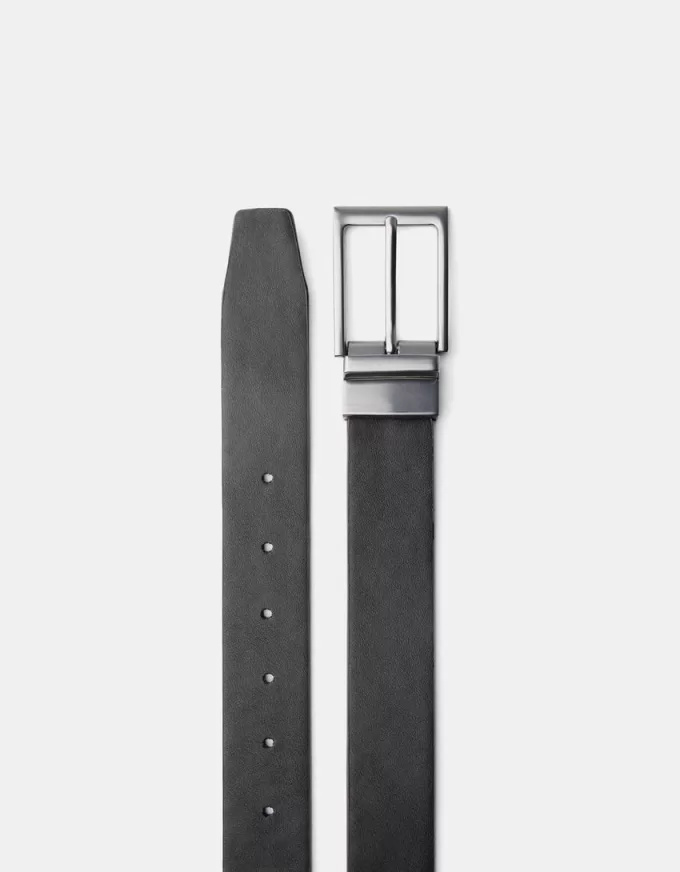 Reversible belt Reversible belt