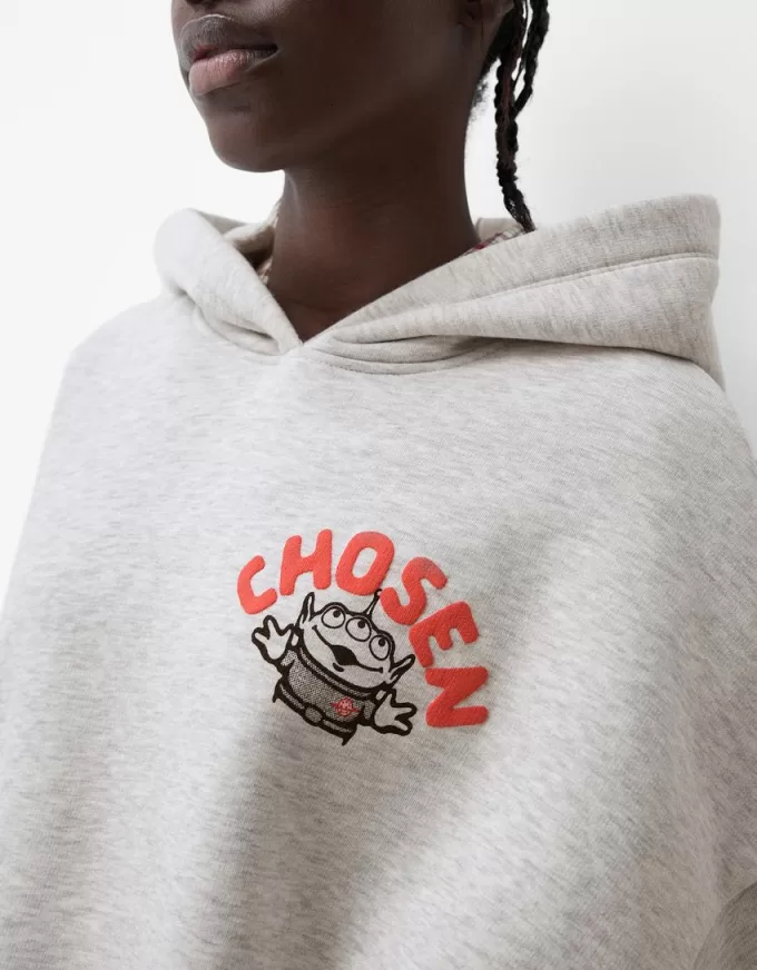 Toy Story hoodie Toy Story hoodie